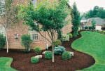 8983 _1_