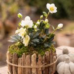 Kukurek - Slika 3
