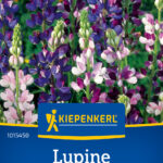Lupine miks