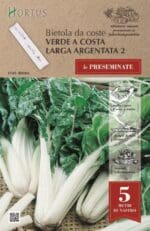 Blitva Verde seme na traci - Slika 2