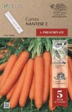 Šargarepa Nantes seme na traci - Slika 2