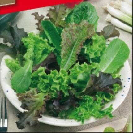 mesavina-salata