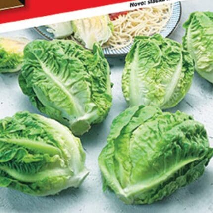 salata-slatka-rimska