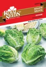 Salata slatka rimska - Slika 2