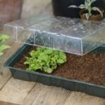 Propagator za setvu sa kokosom - Slika 2