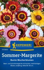 Jesenja Margareta - Slika 2