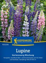 Lupine Veličanstvena mešavina - Slika 2