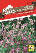 Noćna frajla - Slika 2