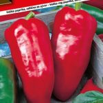Paprika Slonovo uvo