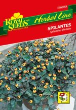 Spilantes - Slika 2