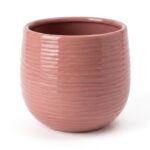 Saksija roze