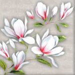 Salvete Magnolija