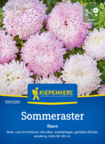 Aster Opus - Slika 2