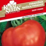 paradajz saint pierre seme