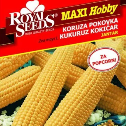 kukuruz kokičar seme