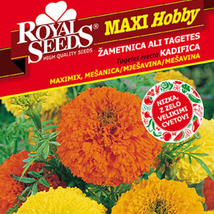 kadifica maximix seme