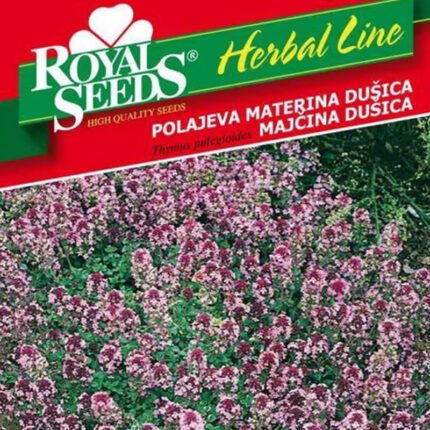 majčina dušica seme