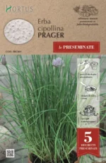 Kolekcija semena na traci/disku, 2+1 GRATIS - Slika 4