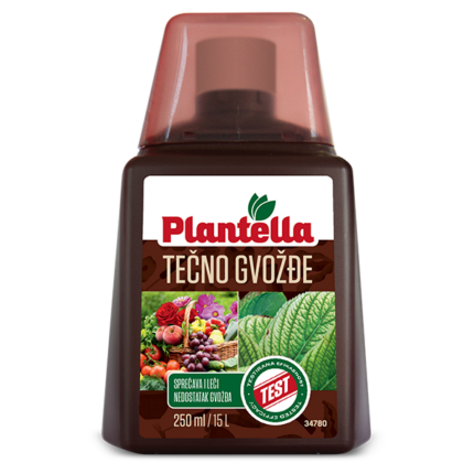 plantela tečno gvožđe