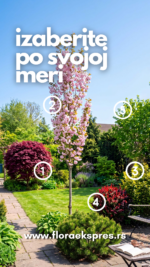 floraekspres kombinacije